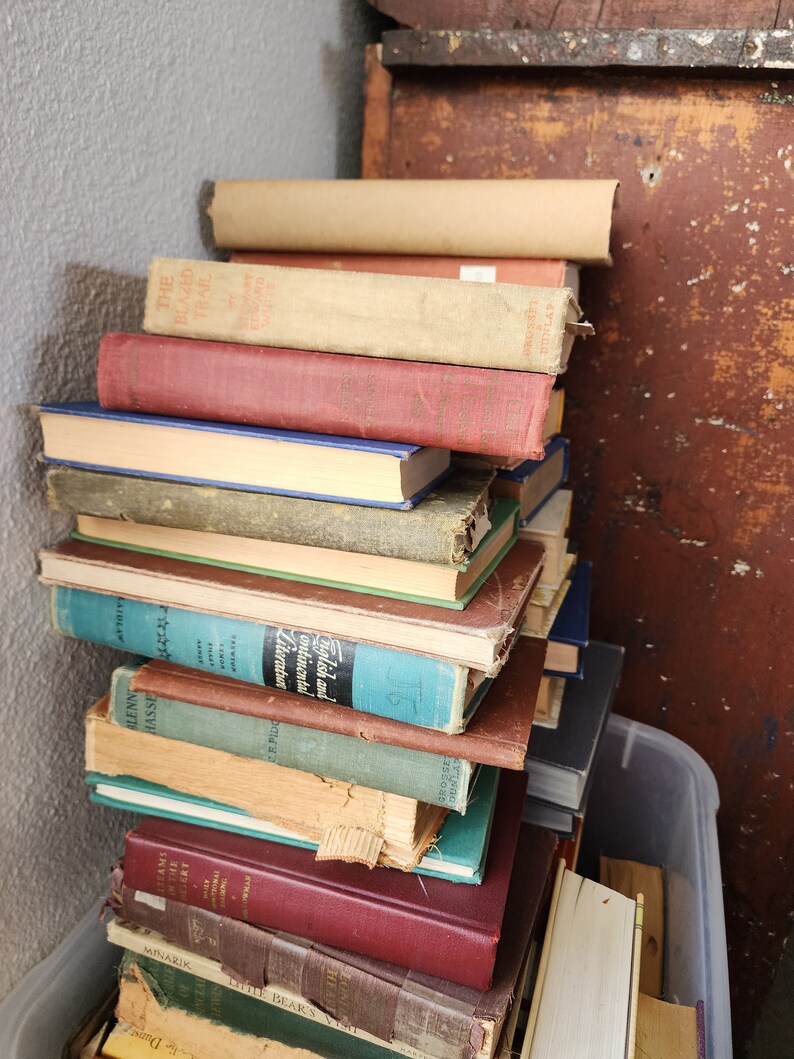 Assorted Old and Antique Books for Decorating Etsy
