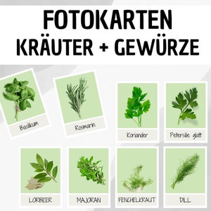 Lernkarten: Kräuter / Flashkarten / Montessori / Flash Cards