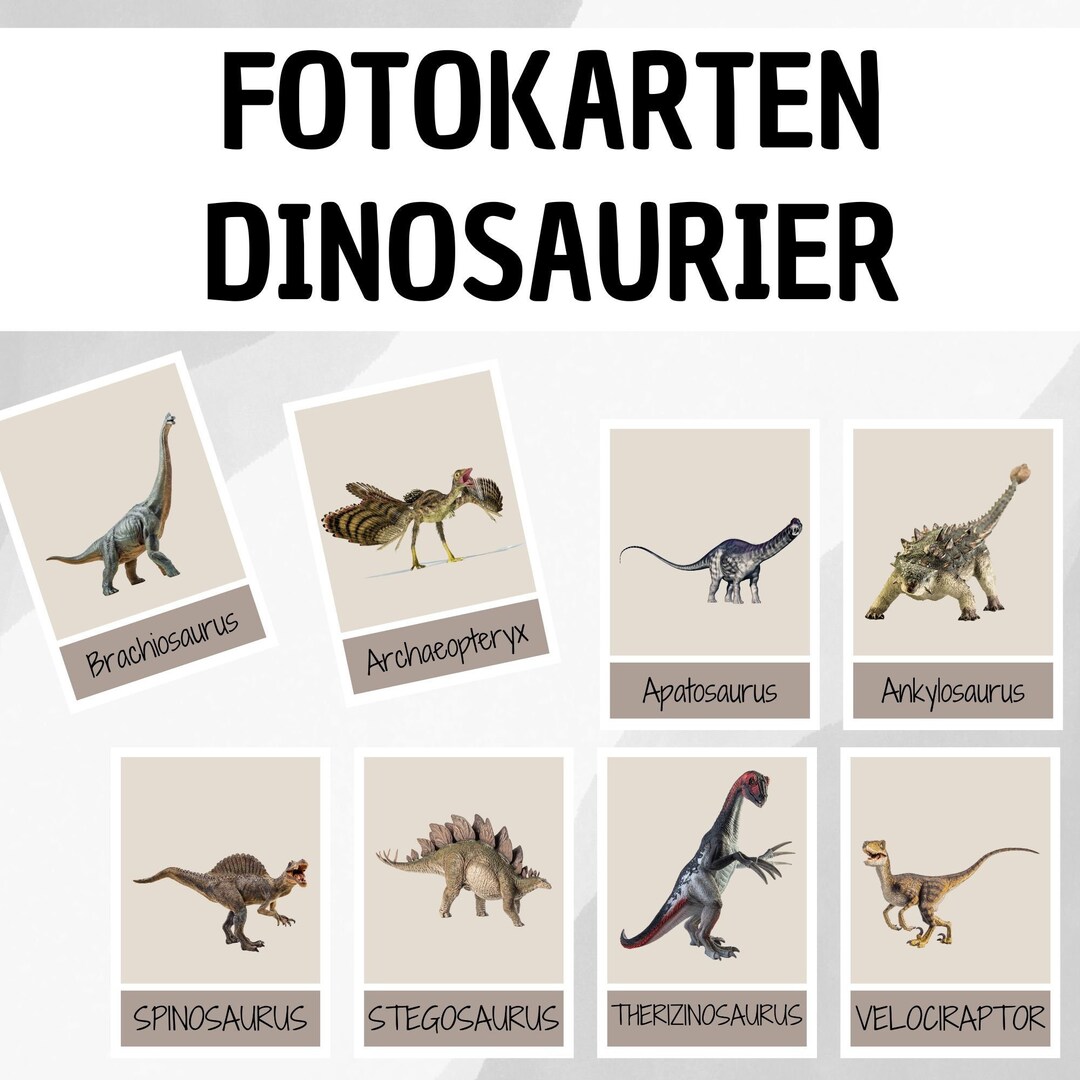 Learning Cards: Dinosaurs / Flash Cards / Montessori / Flash Cards - Etsy