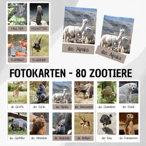Learning cards: zoo animals / flash cards / Montessori / flash cards