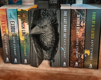 3D Printed Crow Book nook