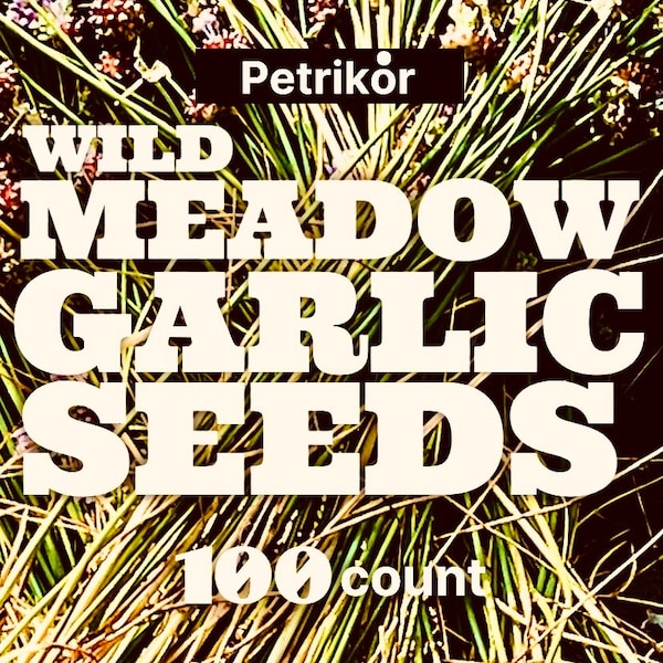 Wild Garlic Seeds 100 count