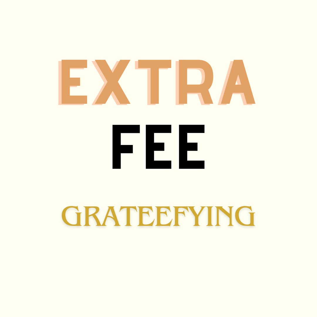 Extra Fee for Priority Shipping - Etsy