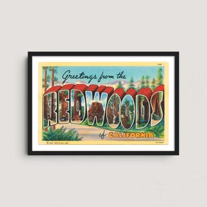 California Redwoods 1939 Vintage Postcard Print – Retro Travel Poster, Redwoods National and State Parks Wall Art, Mid-Century Decor