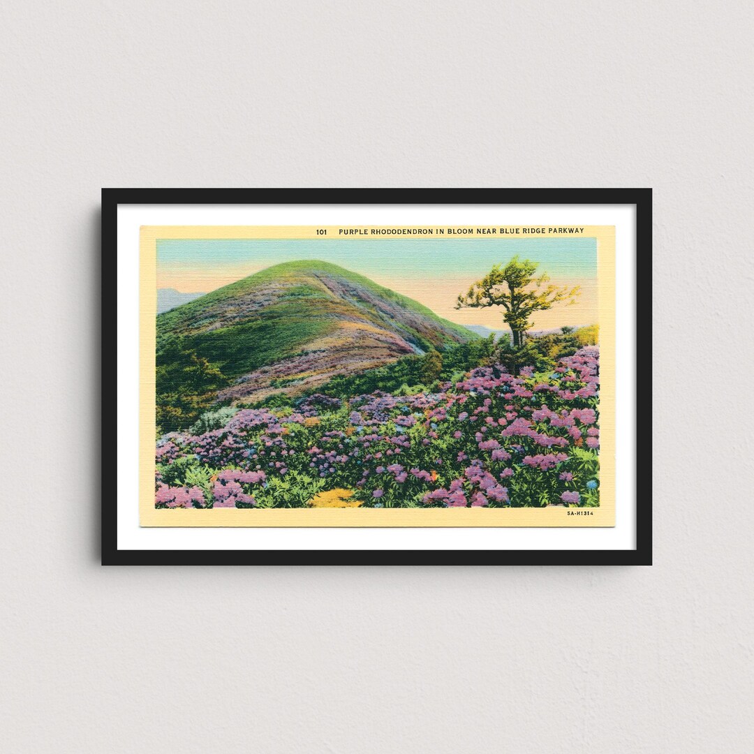 Blue Ridge Ga Postcard Blue Ridge Parkway 1935 Vintage Postcard Art Print - Etsy