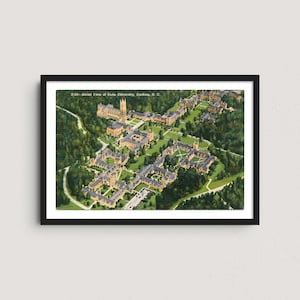 May include: Framed vintage postcard featuring an aerial view of Duke University in Durham, N.C. The image shows the university's buildings, green spaces, and surrounding trees. The text "D-23 - Aerial View of Duke University, Durham, N. C." is visible.