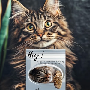 Maine Coon Birthday Card, Happy Birthday Card, Custom Birthday Card, Personalised Maine Coon Cat Birthday Card, Maine Coon Lover, Birthday
