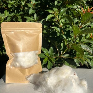 May include: A kraft paper pouch filled with fluffy white cotton, with a pile of loose cotton beside it. The background features lush green foliage, suggesting a natural or organic product. The cotton appears soft and clean.