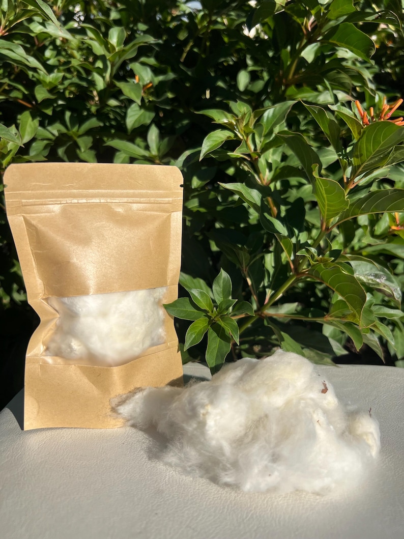 May include: A kraft paper pouch filled with fluffy white cotton, with a pile of loose cotton beside it. The background features lush green foliage, suggesting a natural or organic product. The cotton appears soft and clean.
