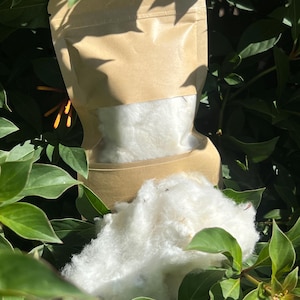 May include: A kraft paper bag with a clear window, filled with fluffy white material, sits among green leaves. A portion of the white material is outside the bag. The image is taken in natural light.