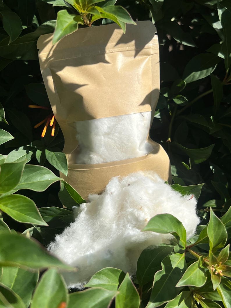 May include: A kraft paper bag with a clear window, filled with fluffy white material, sits among green leaves. A portion of the white material is outside the bag. The image is taken in natural light.