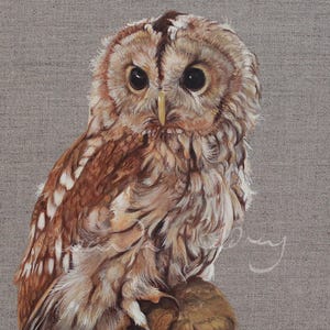 Brown Owl Print - Giclée Fine Art from Oil Painting - Woodland Bird Wall Decor - Nature Animal Print - Home Decor - Home Asthetic