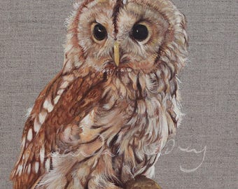 Impresión giclée de búho marrón: retrato artístico de pájaro