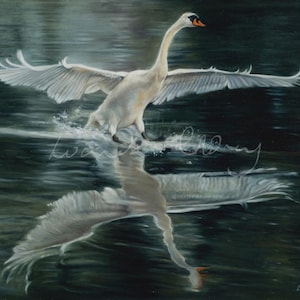 Swan Landing Art Print - Oil Painting Giclée Fine Art - Elegant Bird Wall Decor - Nature Animal Print - Home Decor