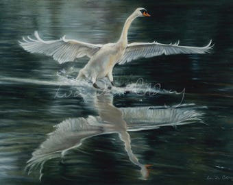 Impressão artística Giclée "Aterrissando um Cisne": Decoração de Parede Elegante de Pássaro