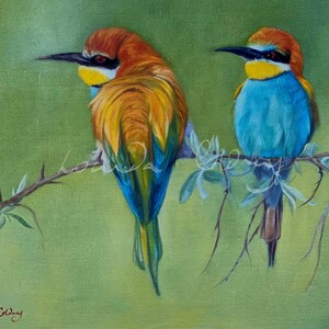 Biene - Fresser Kunstdruck - Giclée Fine Art Ölgemälde - Bunte Vogel Wanddekoration - Wildtier Natur Druck - Exotisches Vogel Kunstwerk