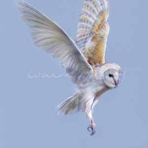 Owl Art Print - Giclée Fine Art From Oil Painting - Woodland Bird Wall Decor Nature Animal Print - Rustic Home Asthetic
