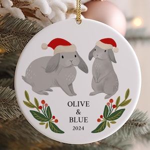 Two Lop Bunny Christmas Gift Custom Name Mother and Baby Holland Lop Rabbit Ornament Pet Bunny Keepsake
