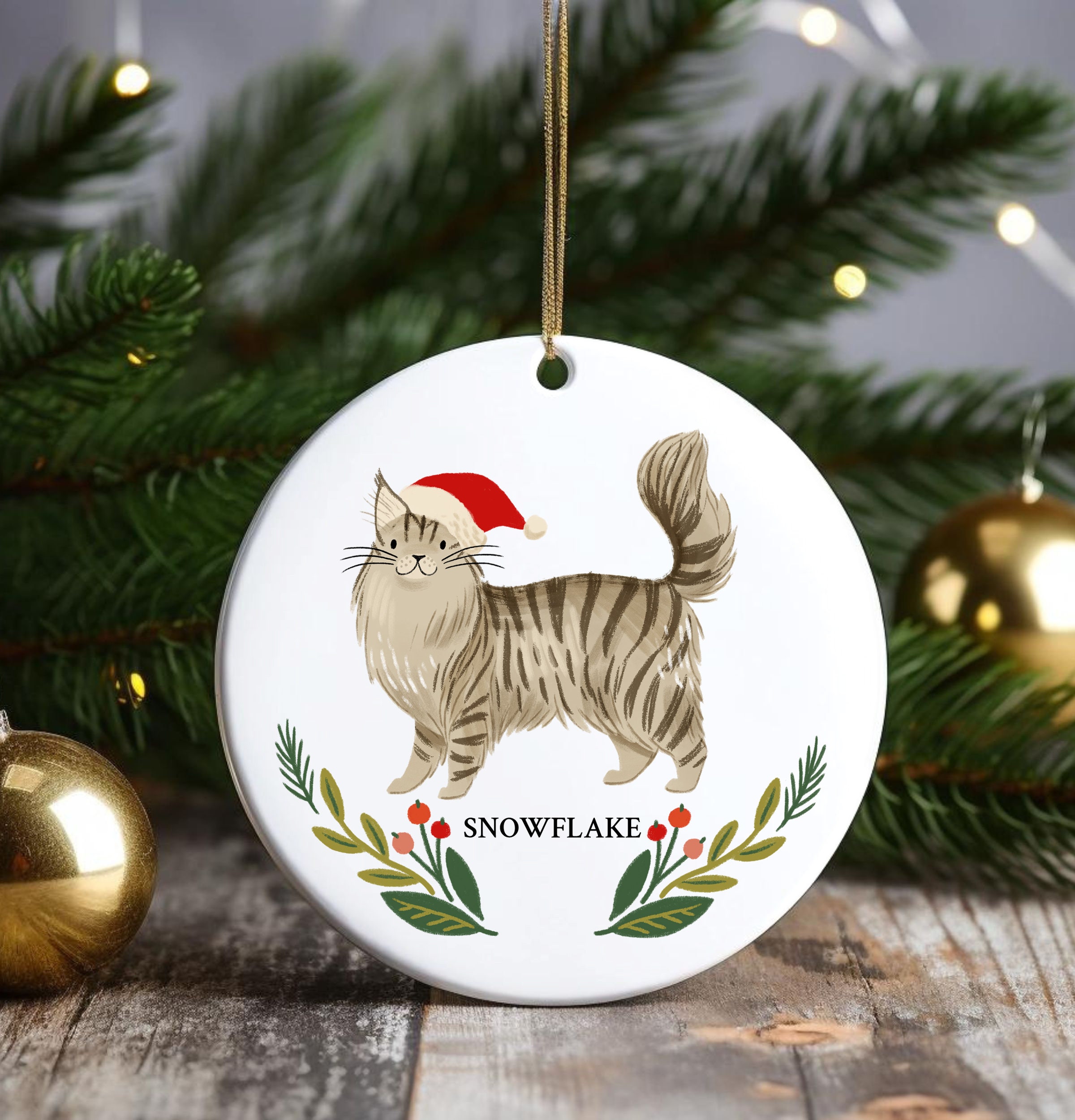 Personalized Pet Ornament Maine Coon Cat Lover Christmas Gift Custom ...