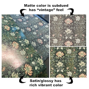May include: Two samples of wallpaper with the same floral pattern, one with a matte finish and the other with a satin finish. The matte finish has a subdued, vintage look, while the satin finish has a rich, vibrant color.