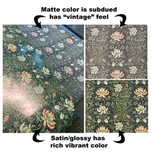 May include: Two samples of wallpaper with the same floral pattern, one with a matte finish and the other with a satin finish. The matte finish has a subdued, vintage look, while the satin finish has a rich, vibrant color.