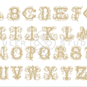 May include: A complete alphabet of capital letters from A to Z, rendered in a light tan, ornate, and decorative font style with intricate scrollwork details. The text SHULER STUDIO is visible in the center of the image in a light gray font.