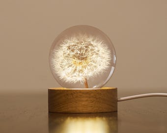Personalized Flower Night Light – Dandelion Glass Ball Lamp Unique Gift for Desk, Bedroom, Living Room, or Creative Home Decor
