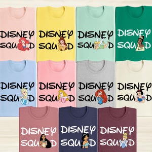 Disney Princess Shirt, Disney Princess Birthday Shirt, Princess Fun Gift, Family Vacation Princess Matching Tee, Tiana, Ariel, Tinkerbell