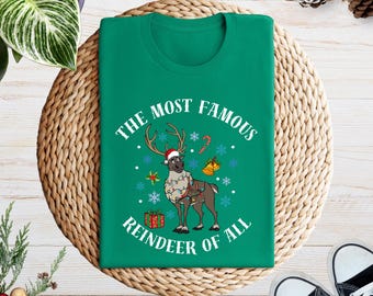 Disney Frozen Sven Christmas Shirt, Frozen Reindeer Shirt, Sven Kristoff Xmas T-Shirt, Disneyland Trip Shirt, Frozen 2 Gift Shirt