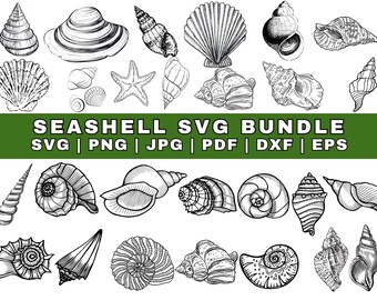 Seashell SVG Bundle: Clipart, Cut Files, Silhouette (Digital Download)