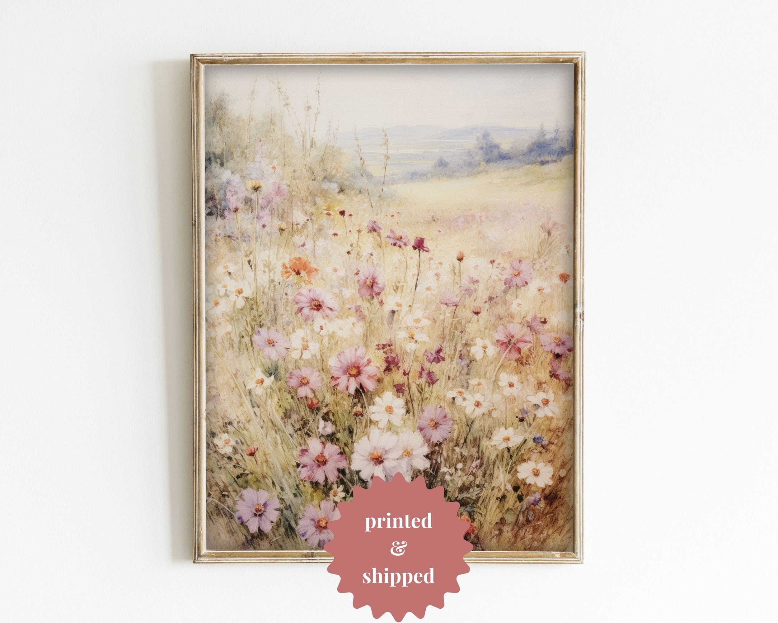 カシニョール 、【BUNCH OF FLOWERS IN MEADOW】 Wildflower meadow - Stock Image - C006/6019 - Science Photo