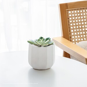 Pode incluir: Um pequeno vaso geométrico branco com uma planta suculenta. A suculenta tem folhas verdes e está centrada no vaso. O vaso está sobre uma superfície branca, com uma cadeira de madeira ao fundo.