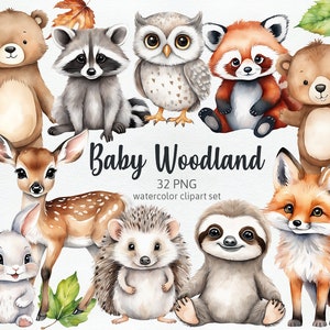Bébé animal des bois, animaux mignons ours chouette raton laveur renard paresseux lapin cerf renard porc-épic cliparts aquarelle dessinés à la main PNG, usage commercial