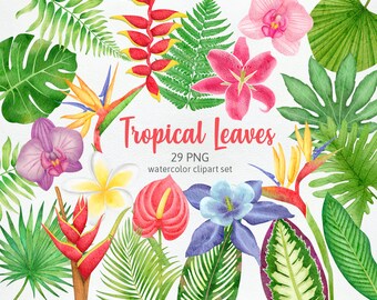 Tropical Leaves Monstera Leaf, Jungle Leaves Palm Branch, Tropical Flowers, Summer Vacation Party Watercolor Cliparts PNG, Commercial Use