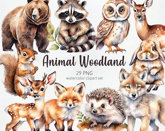 Animal Woodland Watercolor Fox Bear Deer Owl Bunny Raccoon Squirrel, Nursery Wall Art Hand-drawn Cliparts PNG, Commercial Use