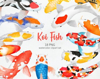 Koivissen Japanse, Aziatische koivissen schilderij kunstwerk, kleurrijke vissen in vijver handgetekende aquarel Cliparts, png, commercieel gebruik