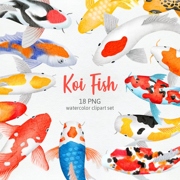 Koi Fish Japanese, Asian Koi Fish Painting Artwork, Colorful Fish in Pond Hand-drawn Watercolor Cliparts PNG, Commercial Use