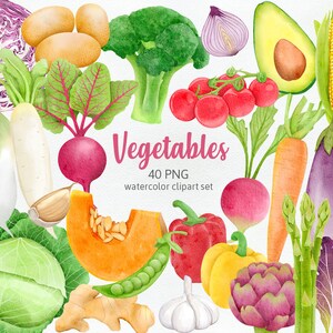 May include: A watercolor clipart set of 40 vegetables, including red radishes, green broccoli, yellow corn, purple eggplant, green asparagus, red tomatoes, green peas, red peppers, yellow peppers, white garlic, brown ginger, white onions, purple onions, green lettuce, white turnips, orange carrots, green avocado, and more.
