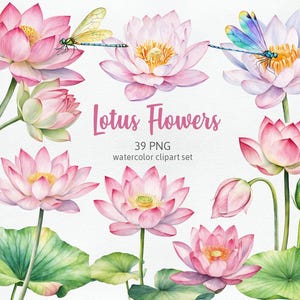 水彩ピンクの蓮、湖の花、蓮の花のつぼみ、デジタルスクラップブッキングトンボマインドフルネス美しい花のグラフィッククリップアートPNG