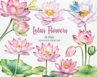 Loti rosa acquerellati, fiori di lago, boccioli di fiori di loto, scrapbooking digitale libellula consapevolezza bellissime grafiche floreali clipart PNG