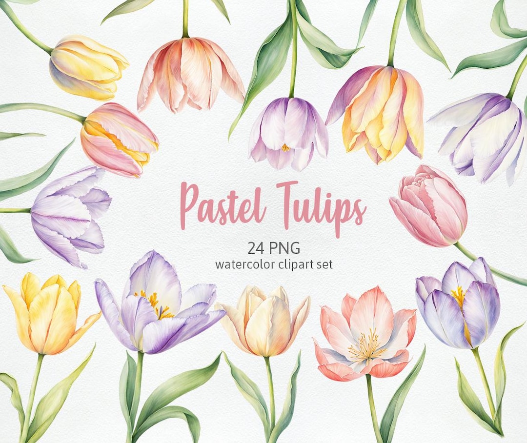 Pastel Tulips Clipart Watercolor Floral Clip Art Beautiful Spring ...