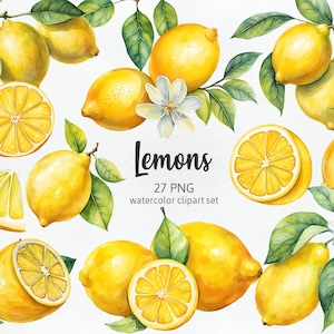 Aquarell Zitrone Clipart, Zitronen png - Zitronenzweig Clipart, Zitronenkranz, Zitronenblumen Handgezeichnetes Aquarell Cliparts PNG, kommerzielle Nutzung