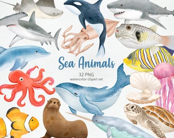 Sea Animals Undersea World Summer Nautical Fish Sea Creatures Under The Sea Ocean Animals Hand-drawn Watercolor Cliparts PNG, Commercial Use