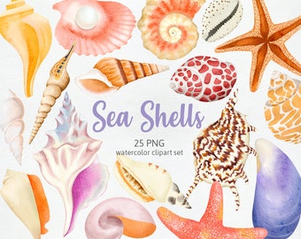 Sea Shell Summer Beach Ocean Shells Paper Craft Starfish Sea Snail Nautical Sea Creatures Hand-drawn Watercolor Cliparts PNG, Commercial Use