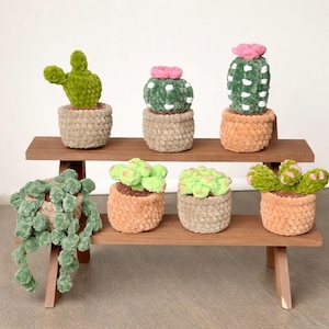 Small crochet plants, barrel cactus, string of pearls, bear paw succulent, rose succulent, sedum, bunny ear cactus, desk plant decor