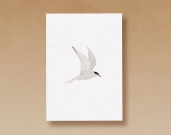 Sofie image