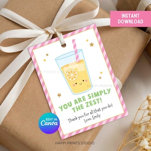 Può includere: Un'etichetta regalo con un'illustrazione a cartoni animati di una limonata sorridente con una cannuccia. L'etichetta ha un bordo a righe rosa e bianche e il testo "YOU ARE SIMPLY THE ZEST!" e "Thank you for all that you do! Love, Emily."