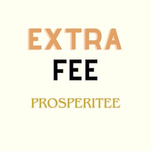 Extra Shipping Fee