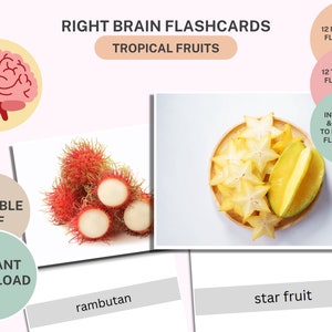 12 Flashcards de fruits tropicaux + Flashcards du cerveau droit + Nomenclature + PDF modifiable + Éducation à domicile + Montessori + Fournitures scolaires + Jouets