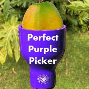 The Perfect Purple (Fruit) Picker
